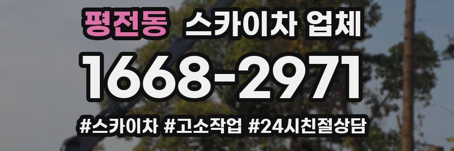 평전동 스카이차 업체