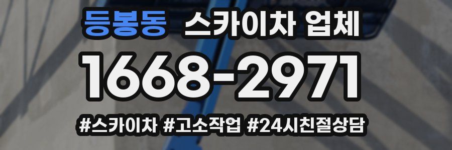 등봉동 스카이차 업체