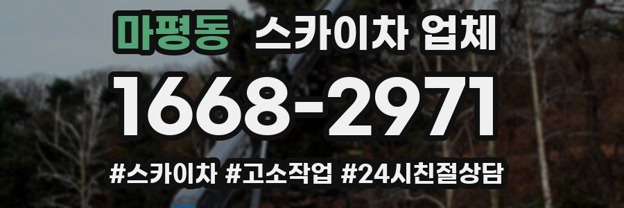 마평동 스카이차 업체