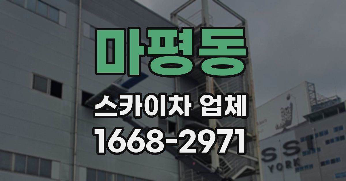마평동 스카이차 업체