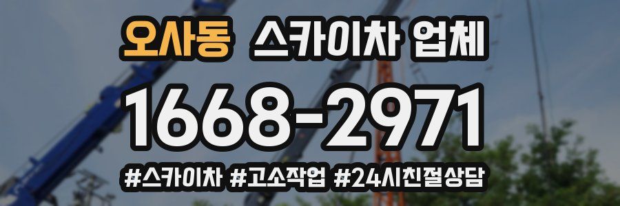 오사동 스카이차 업체