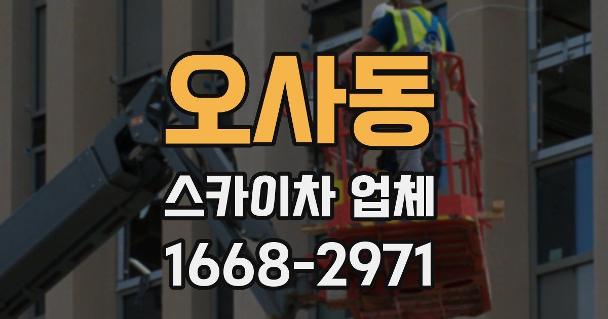 오사동 스카이차 업체