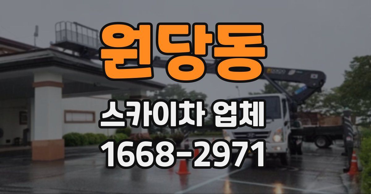 원당동 스카이차 업체