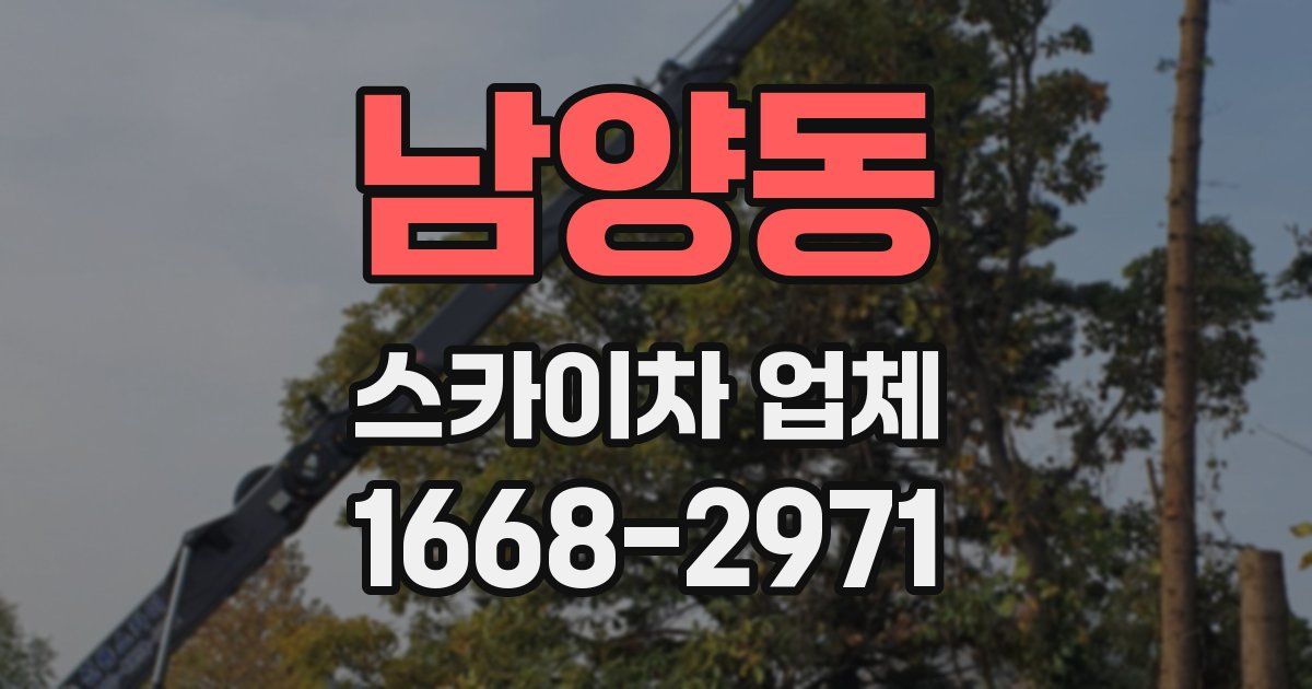 남양동 스카이차 업체