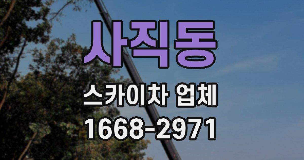 사직동 스카이차 업체