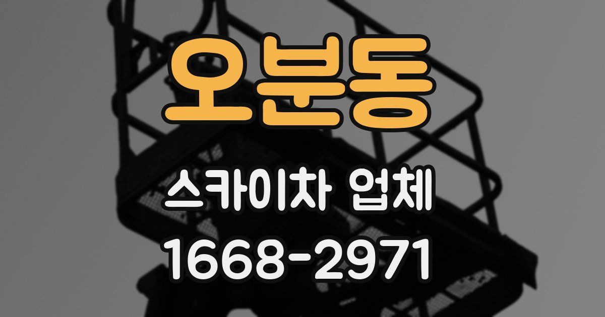 오분동 스카이차 업체