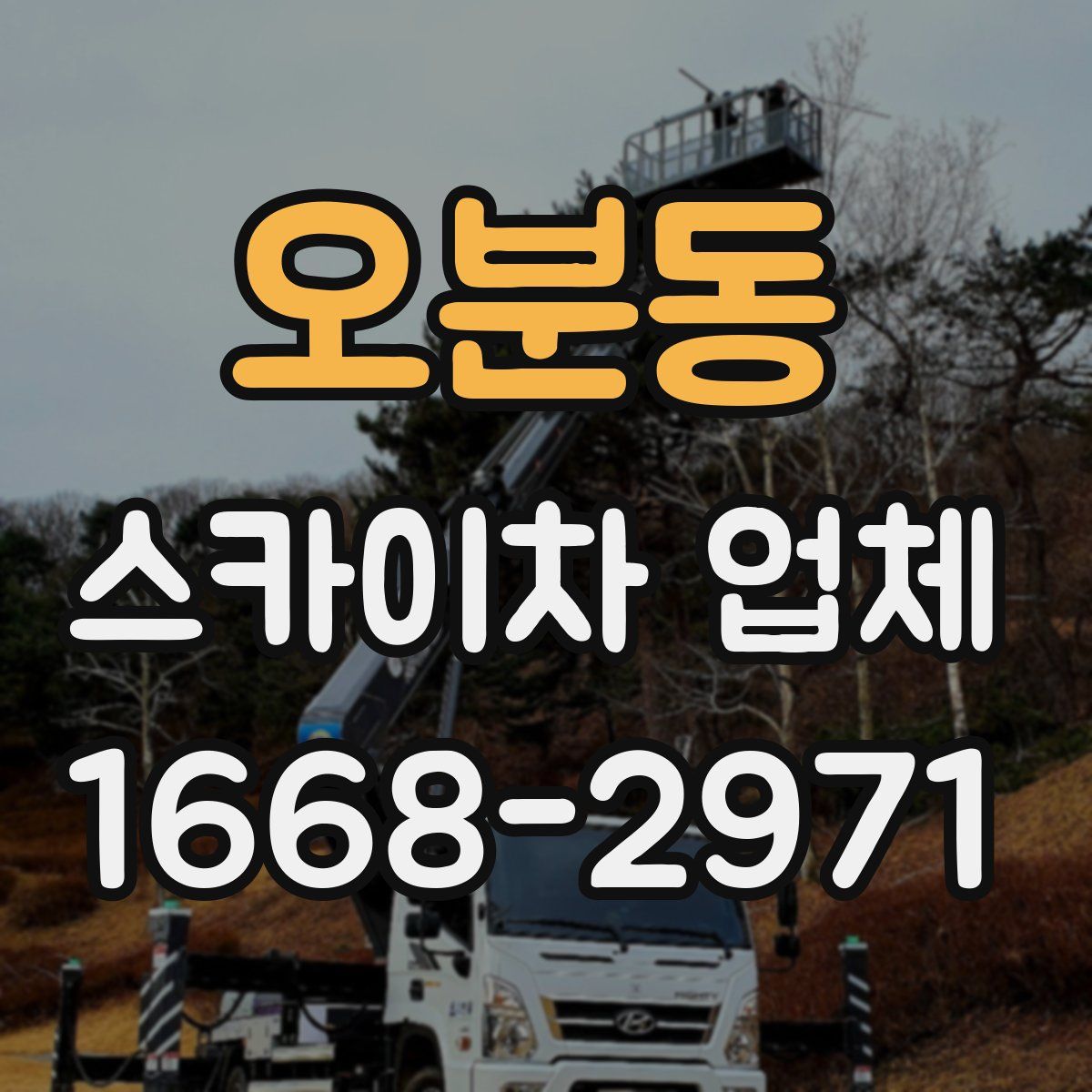오분동 스카이차 업체