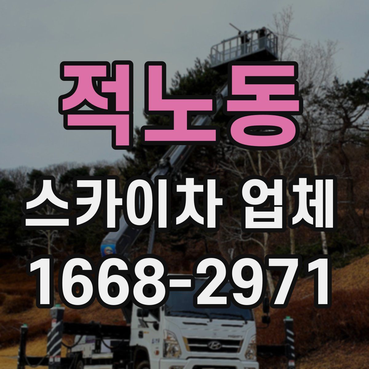 적노동 스카이차 업체