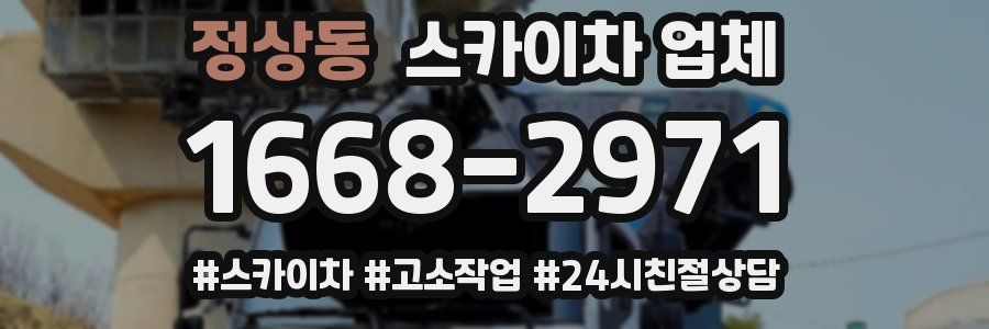 정상동 스카이차 업체