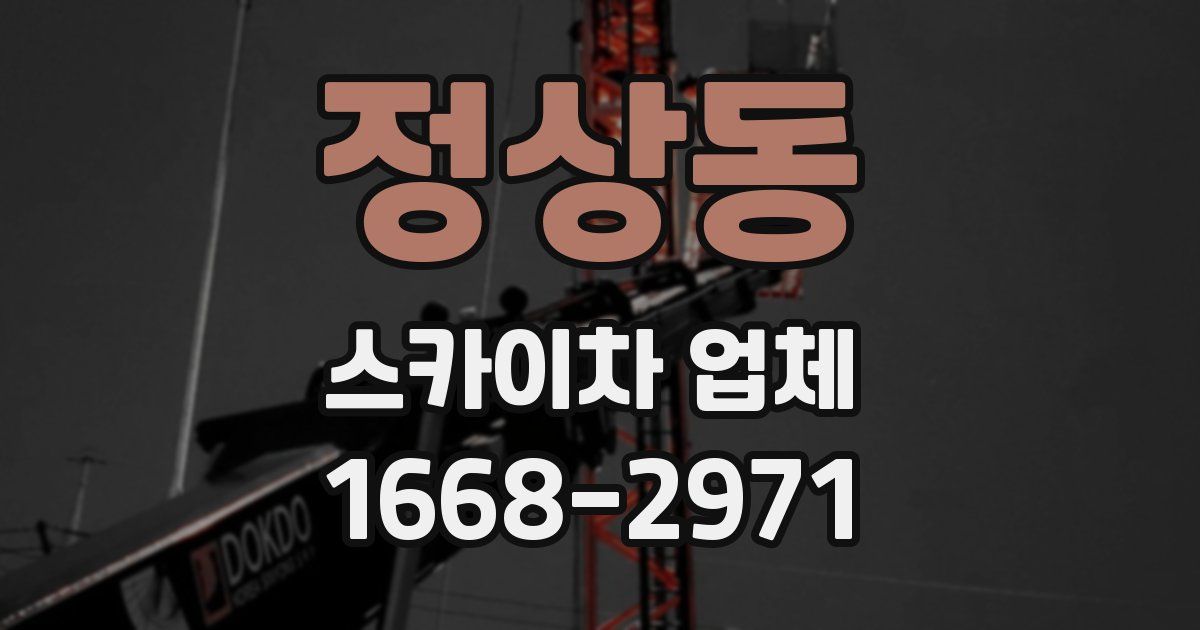 정상동 스카이차 업체
