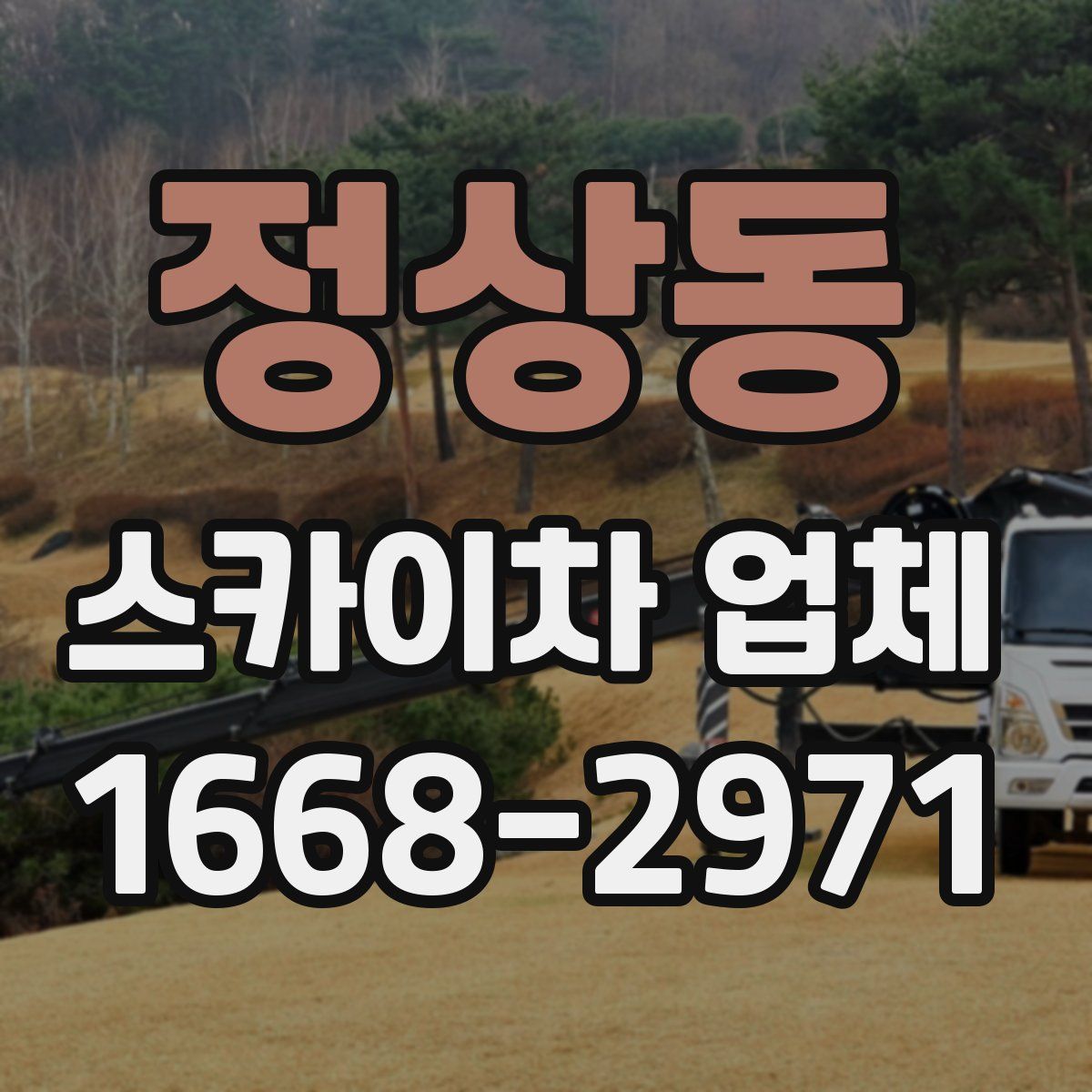 정상동 스카이차 업체