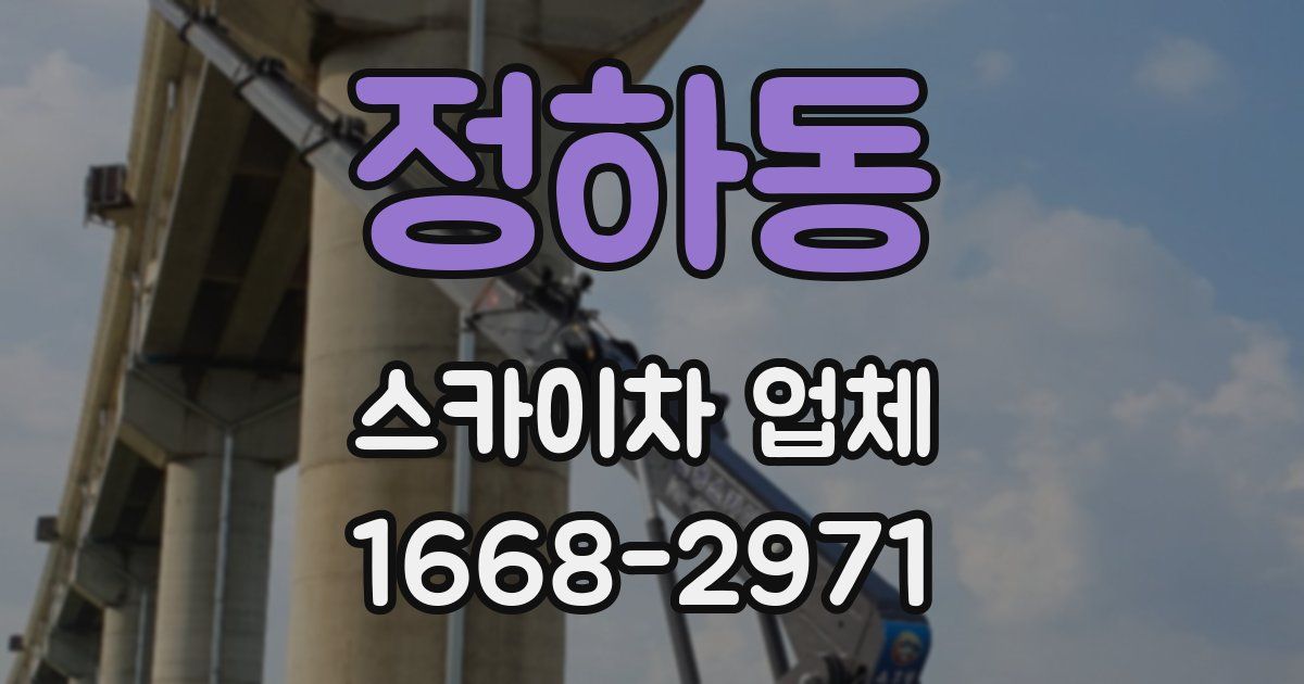 정하동 스카이차 업체