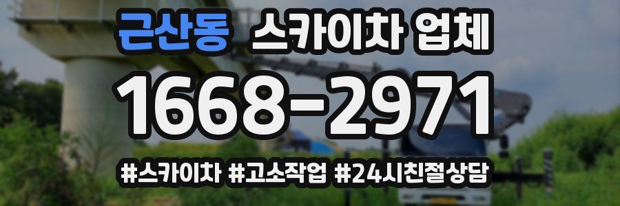 근산동 스카이차 업체