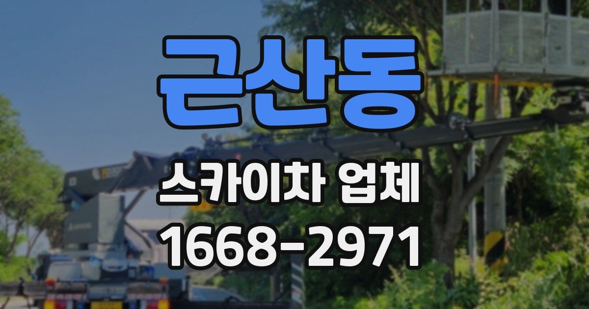 근산동 스카이차 업체