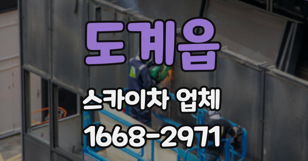 도계읍 스카이차 업체