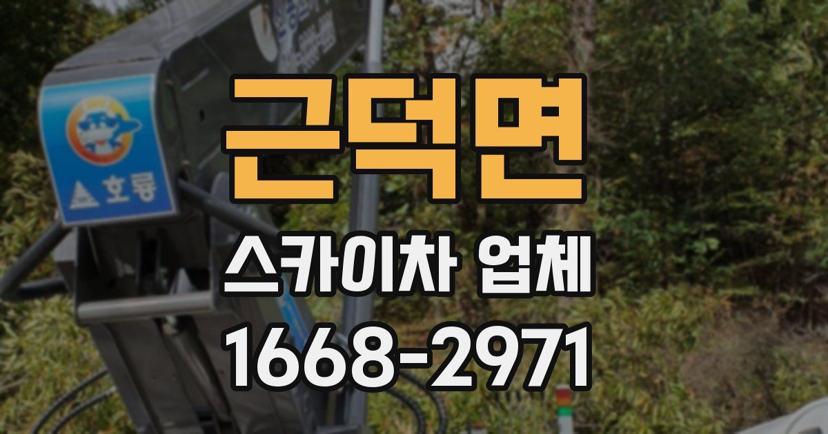 근덕면 스카이차 업체