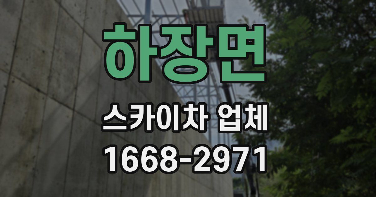 하장면 스카이차 업체