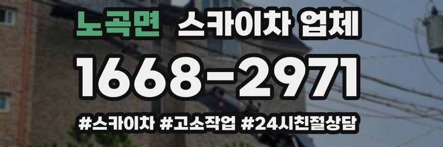노곡면 스카이차 업체