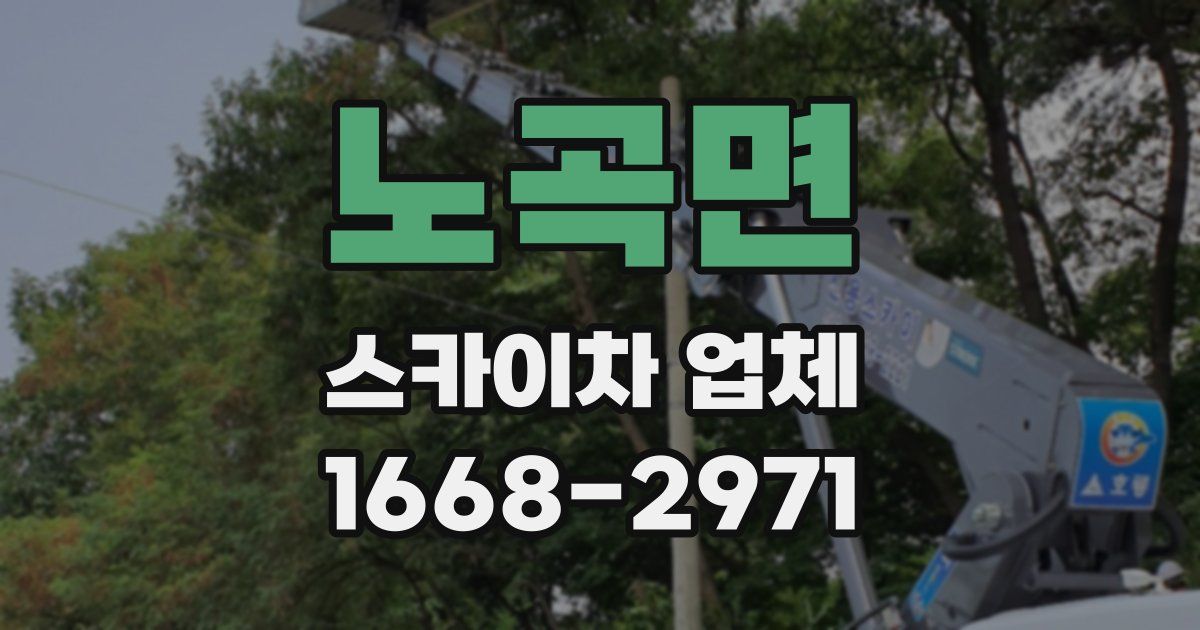 노곡면 스카이차 업체
