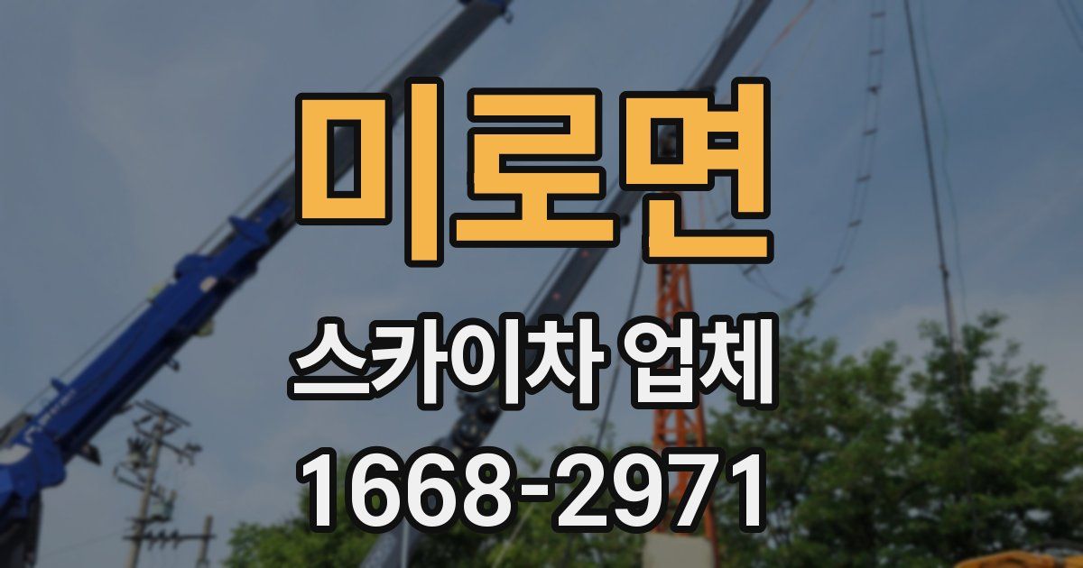 미로면 스카이차 업체