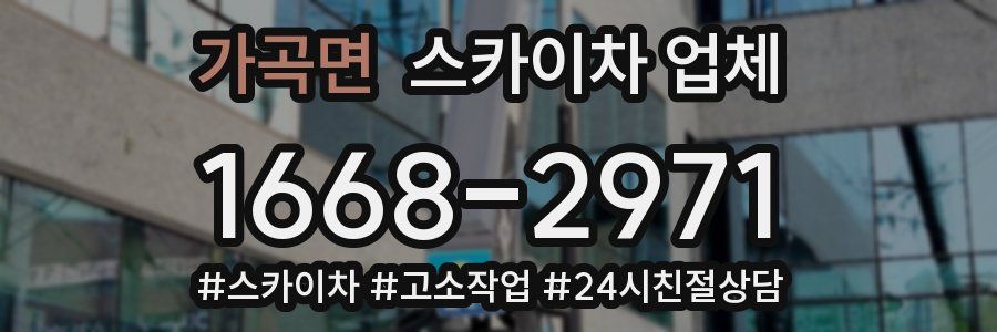 가곡면 스카이차 업체