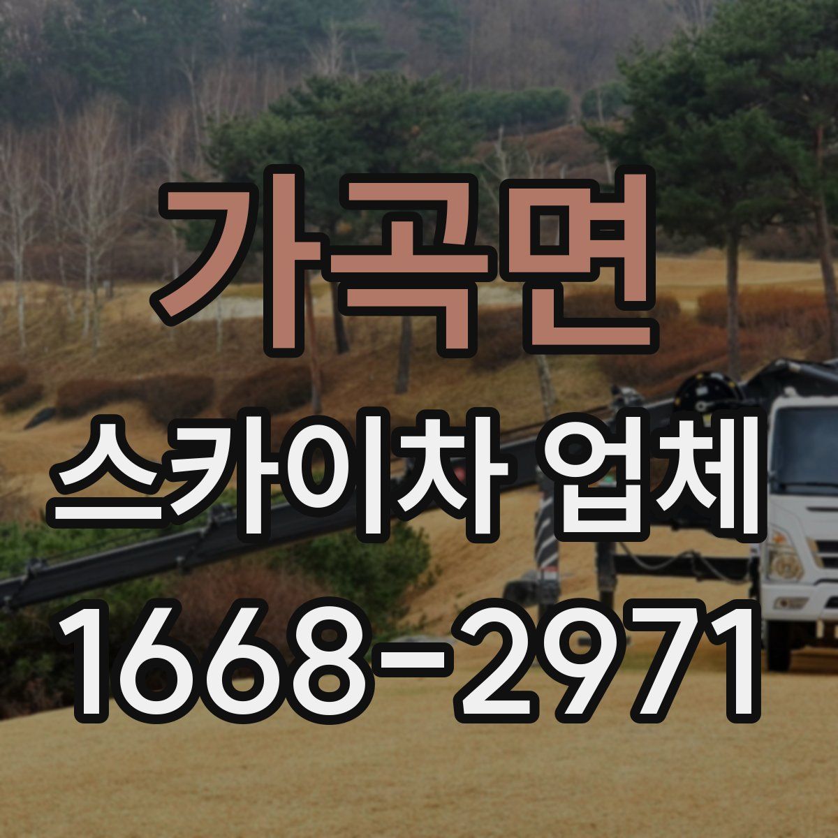 가곡면 스카이차 업체