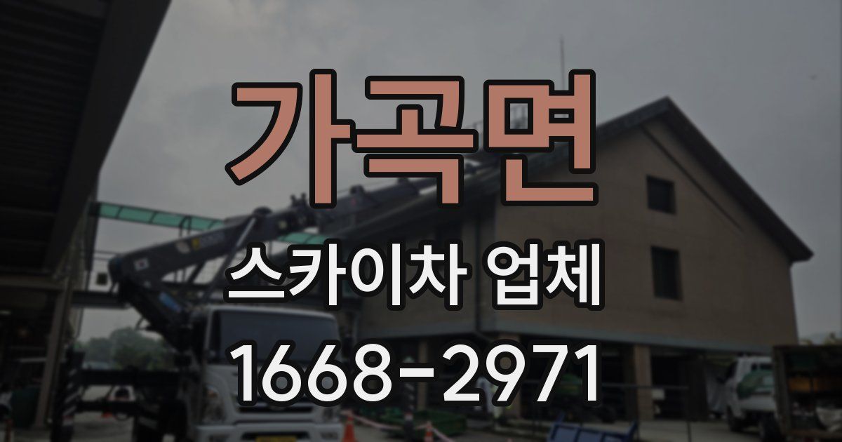 가곡면 스카이차 업체