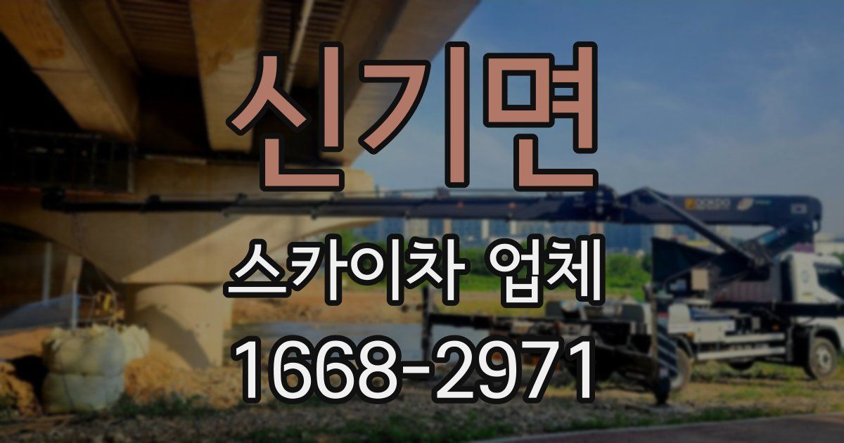 신기면 스카이차 업체