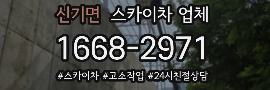 신기면 스카이차 업체