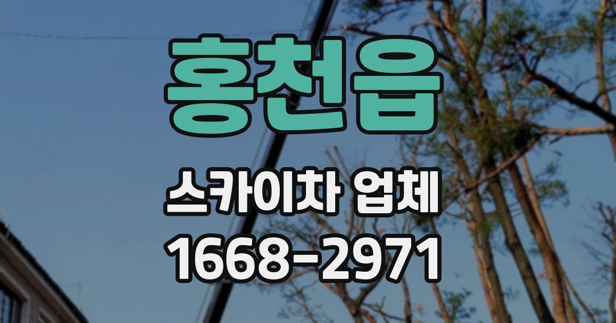 홍천읍 스카이차 업체
