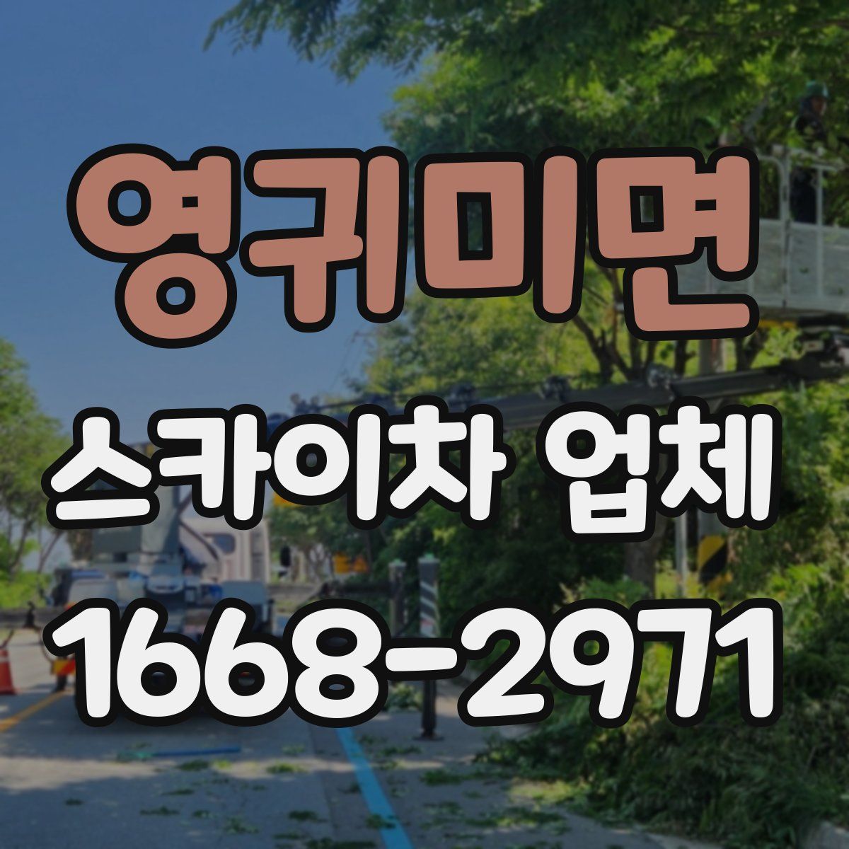 영귀미면 스카이차 업체