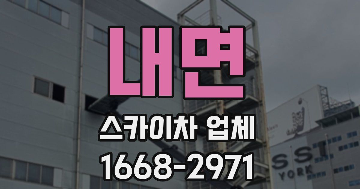 내면 스카이차 업체