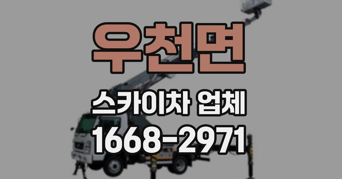 우천면 스카이차 업체