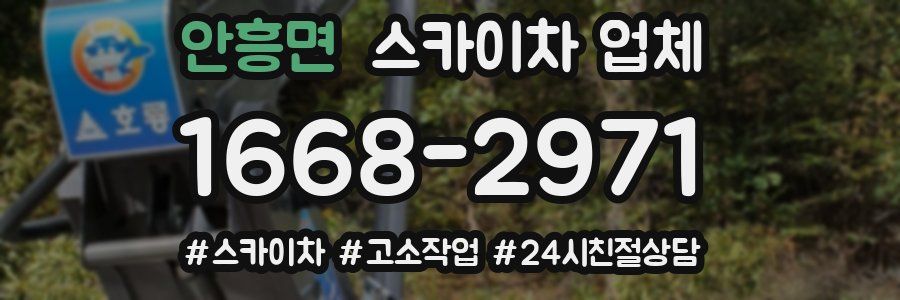 안흥면 스카이차 업체