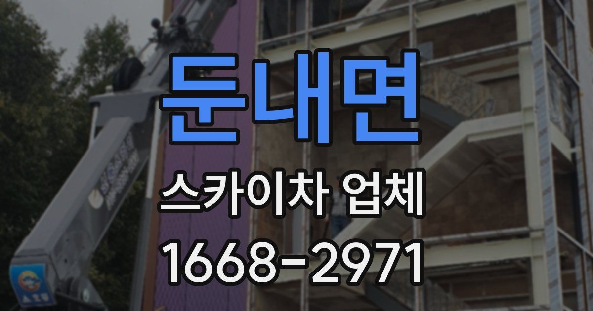 둔내면 스카이차 업체