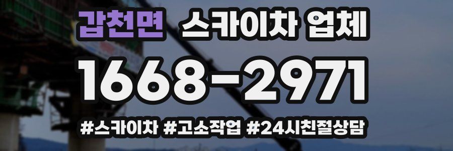 갑천면 스카이차 업체