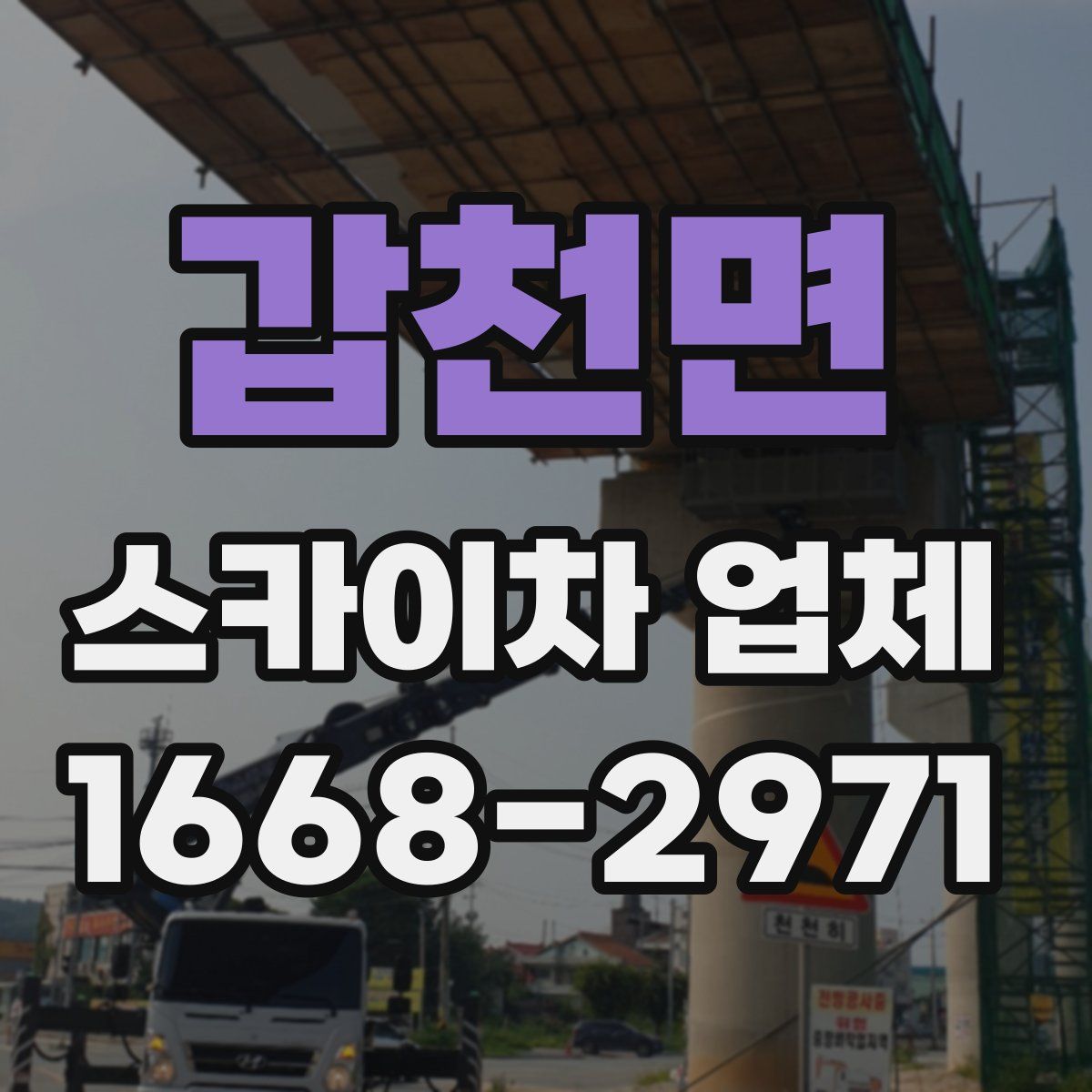갑천면 스카이차 업체