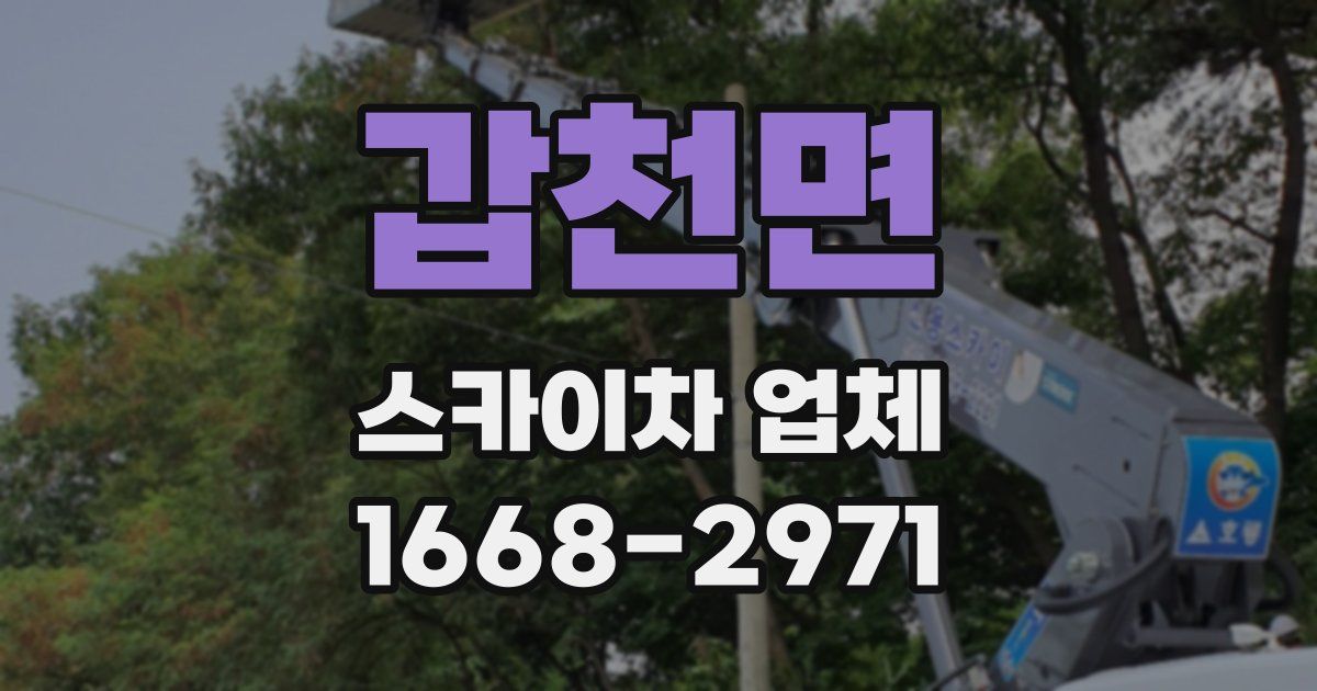 갑천면 스카이차 업체