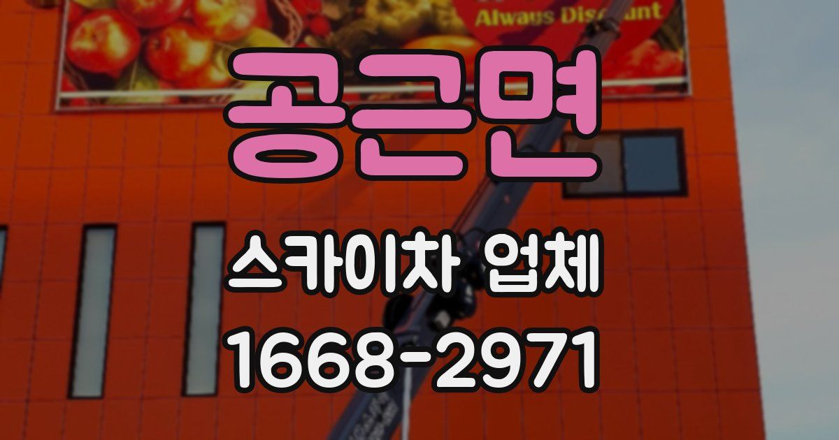 공근면 스카이차 업체