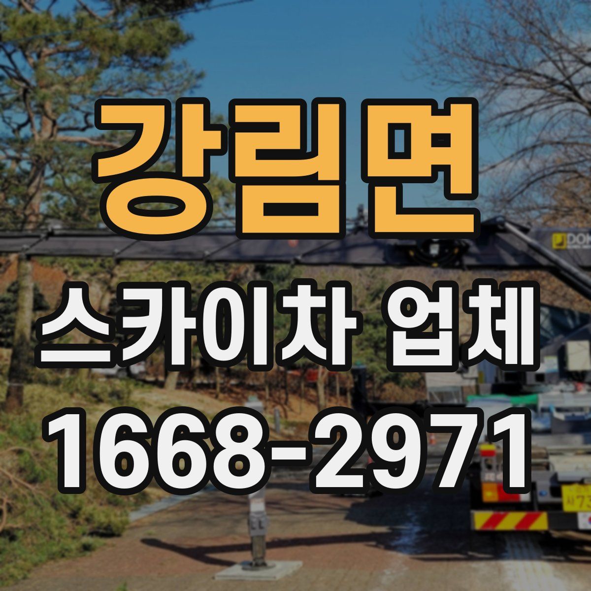 강림면 스카이차 업체