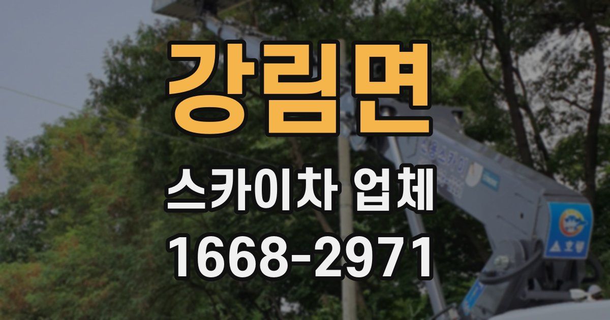 강림면 스카이차 업체