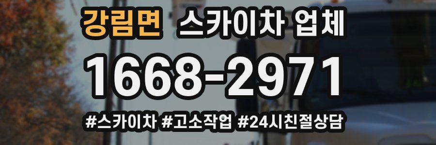 강림면 스카이차 업체