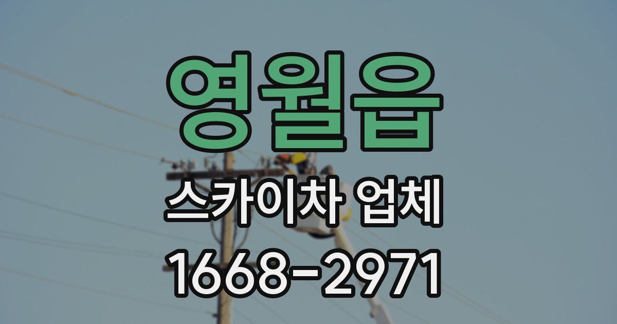 영월읍 스카이차 업체