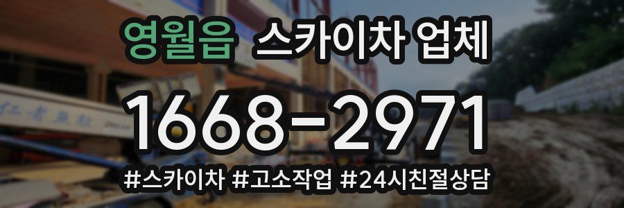 영월읍 스카이차 업체