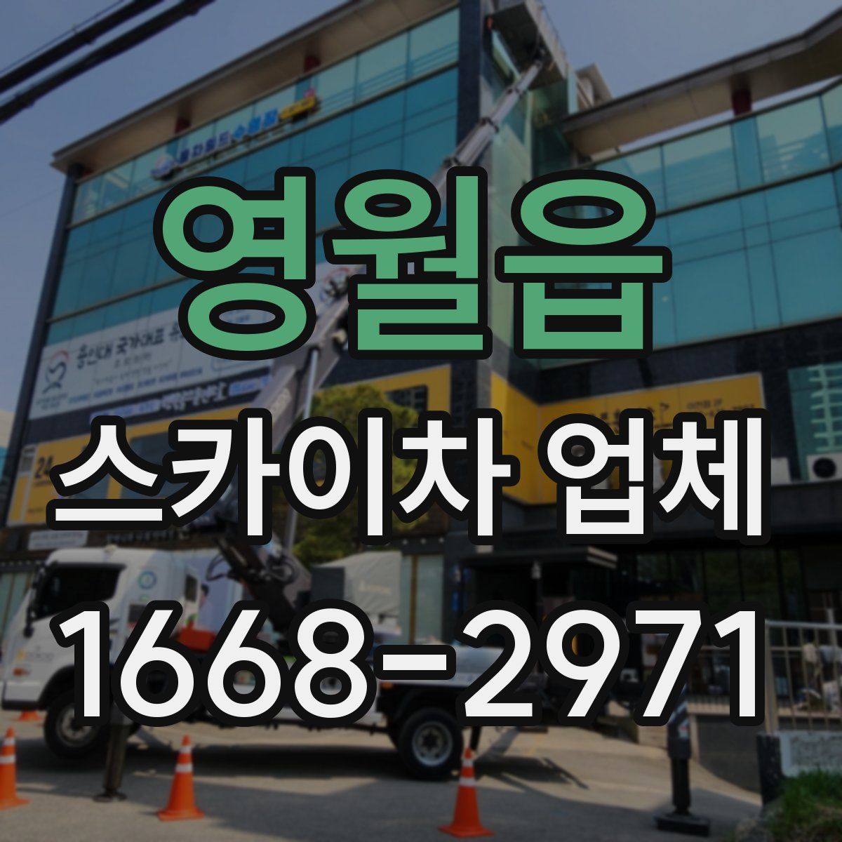 영월읍 스카이차 업체