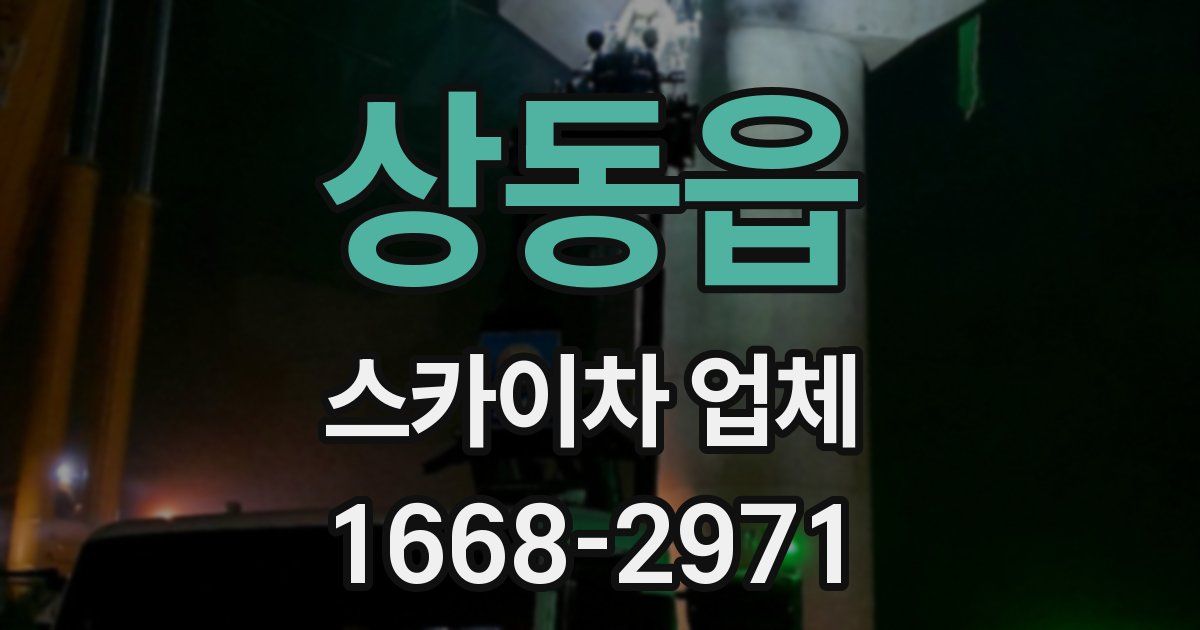 상동읍 스카이차 업체