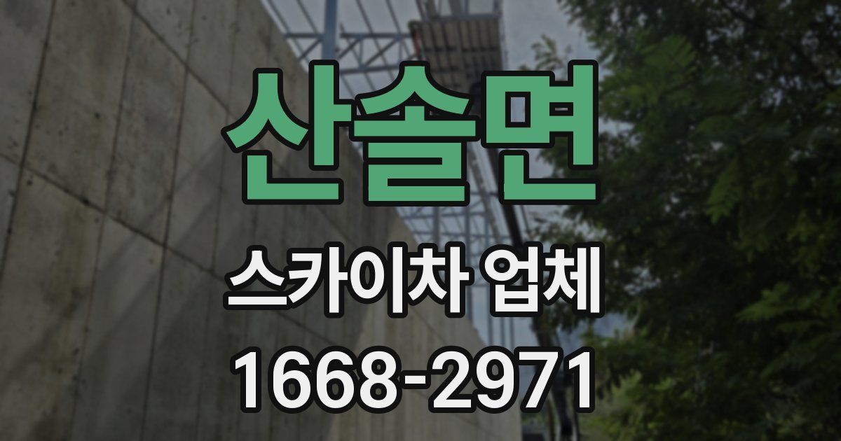 산솔면 스카이차 업체