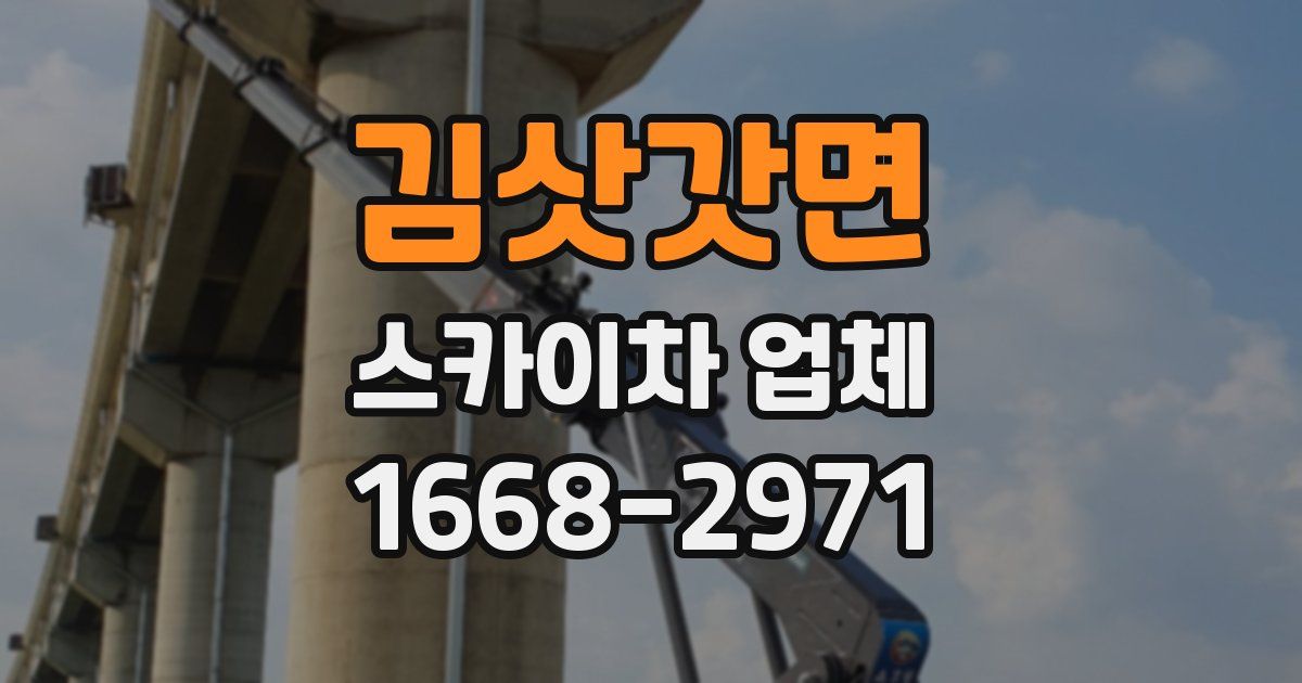 김삿갓면 스카이차 업체