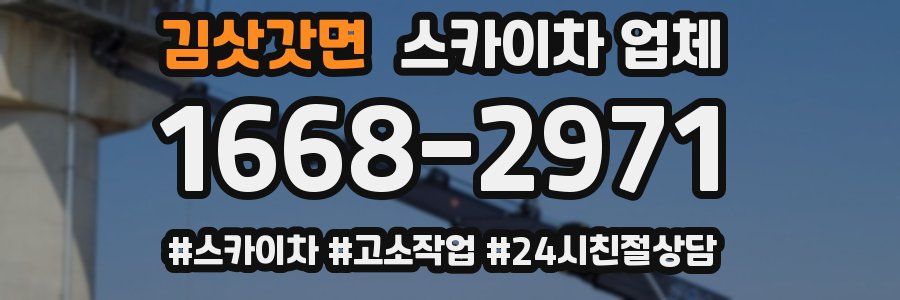 김삿갓면 스카이차 업체