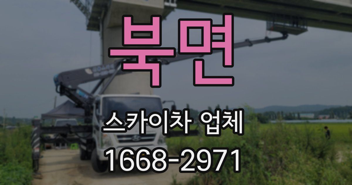 북면 스카이차 업체